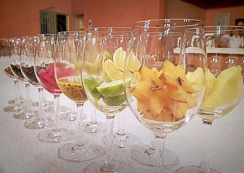 Hotel Vinas Queirolo San Juan Bautista Ngoại thất bức ảnh
